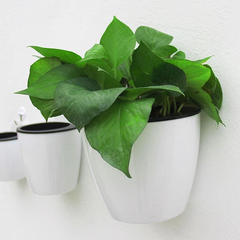 Pot de Fleur Mural Blanc