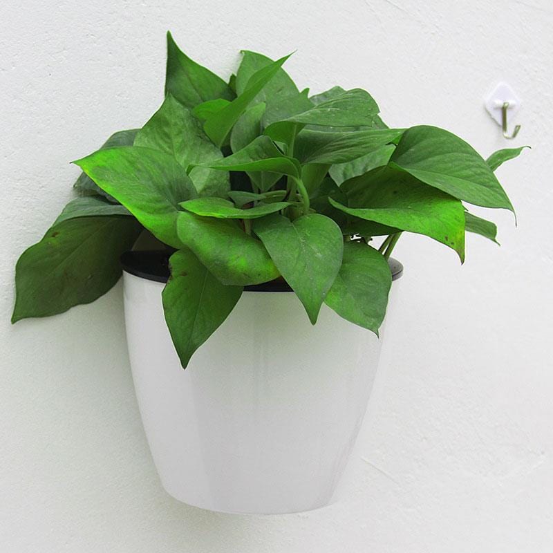 Pot de Fleur Mural Blanc