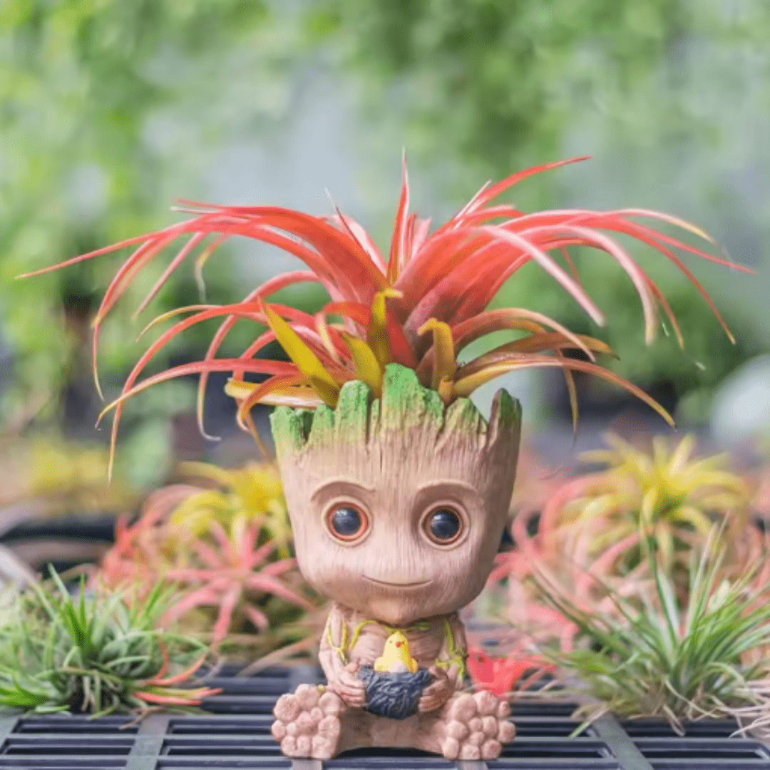 Mini Pot de Plantes Enchanté "Protecteur de la Nature"