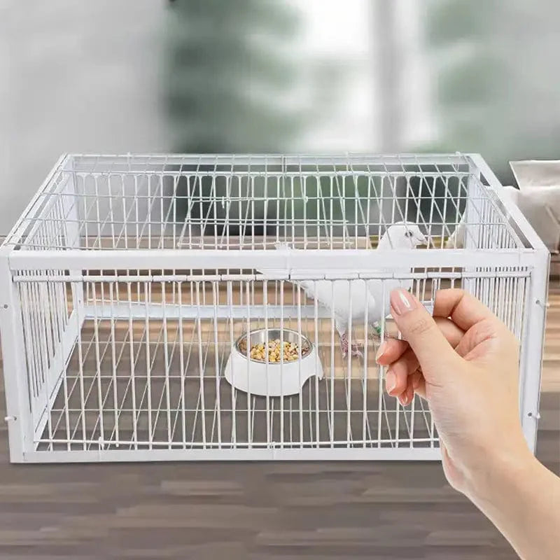 Piège à Oiseaux Sécurisé et Durable