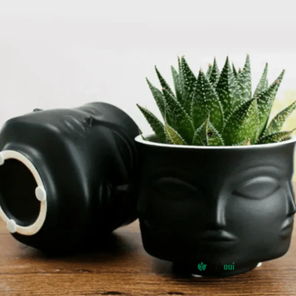 Pot de Fleurs Visage Artistique