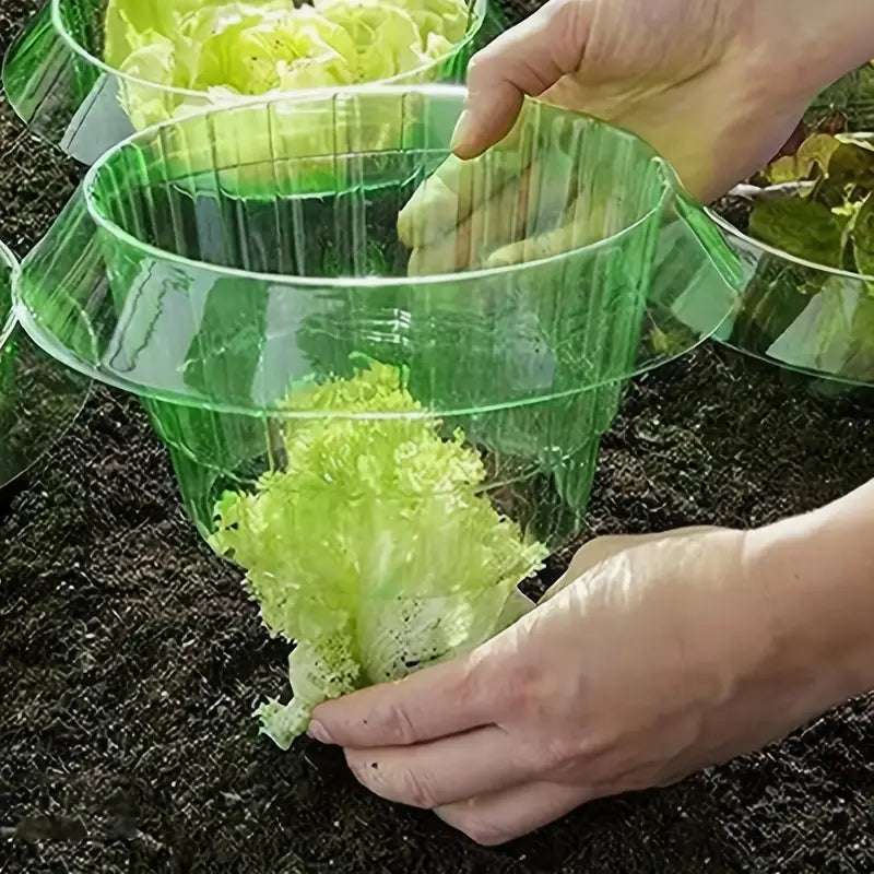 Collier Anti-Escargot Réutilisable pour Plantes