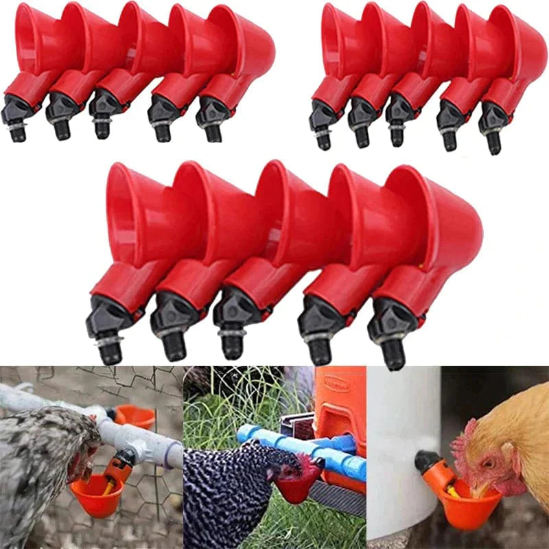 CotCotHydro - Abreuvoir Automatique Premium pour Volailles