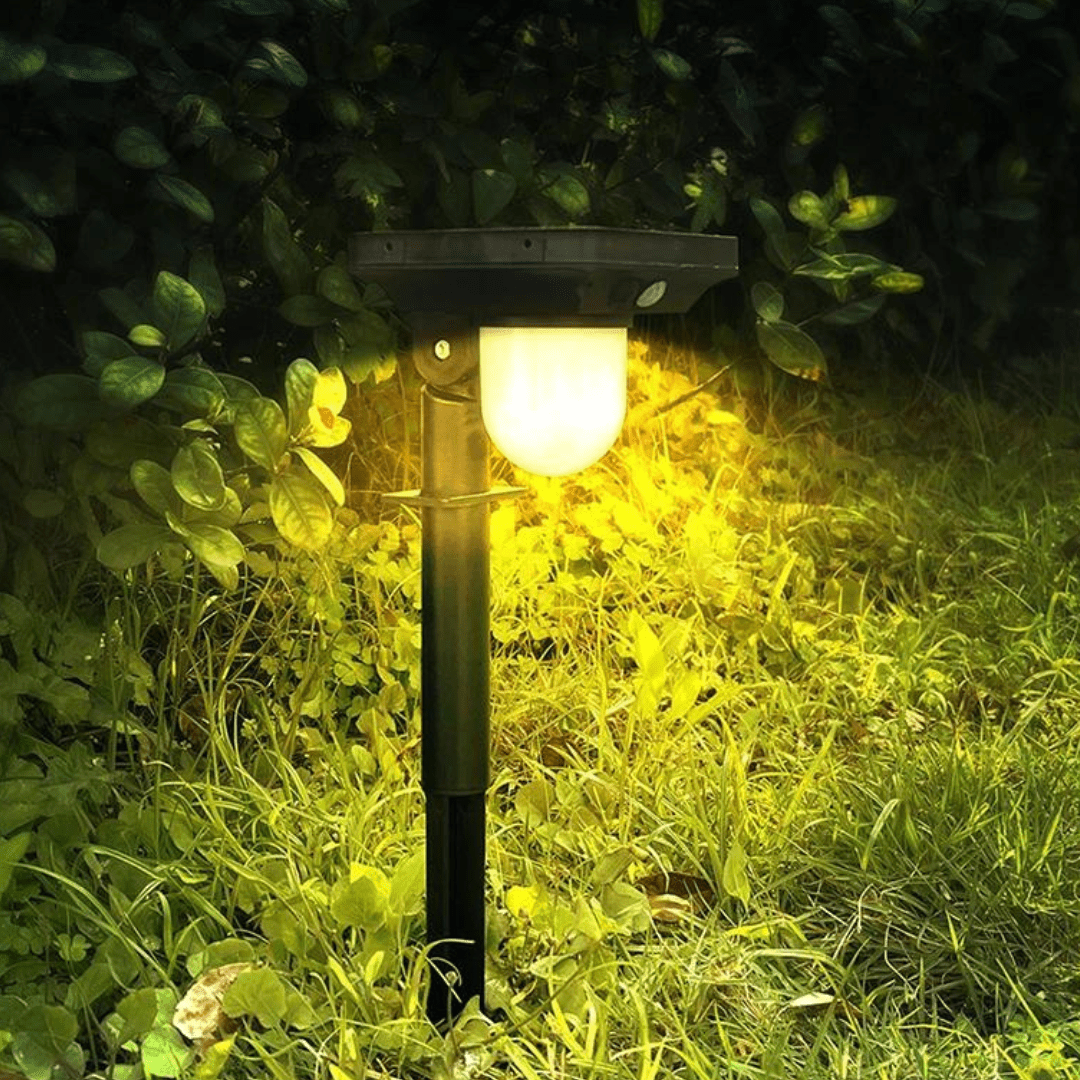 Lampe Solaire Économe avec Détecteur de Mouvement