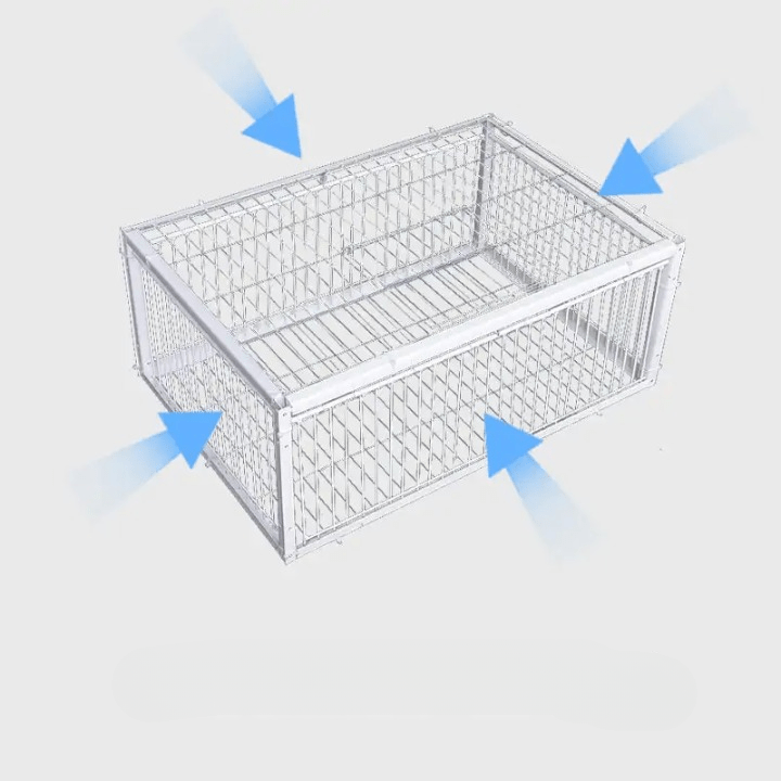 Piège à Oiseaux Sécurisé et Durable