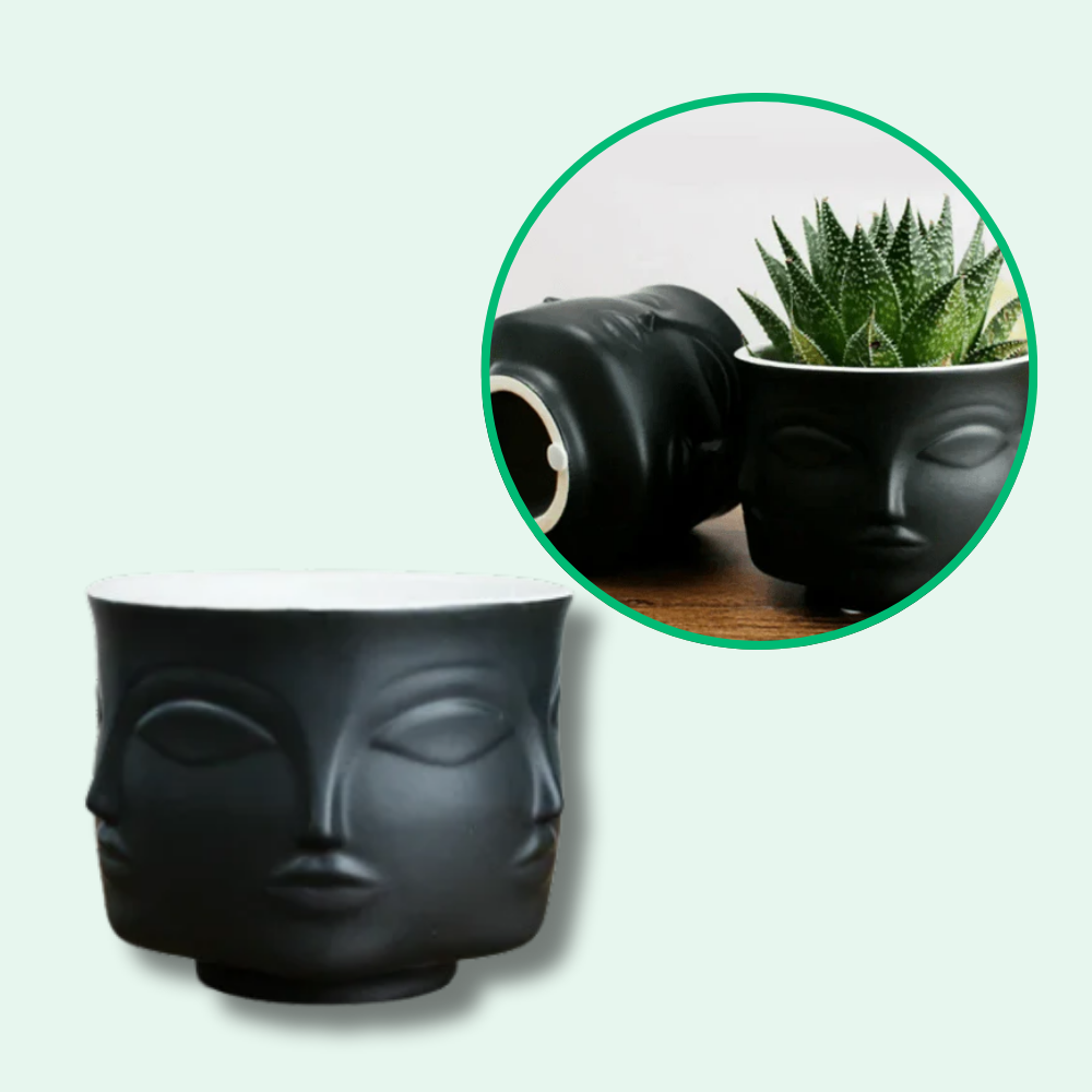 Pot de Fleurs Visage Artistique