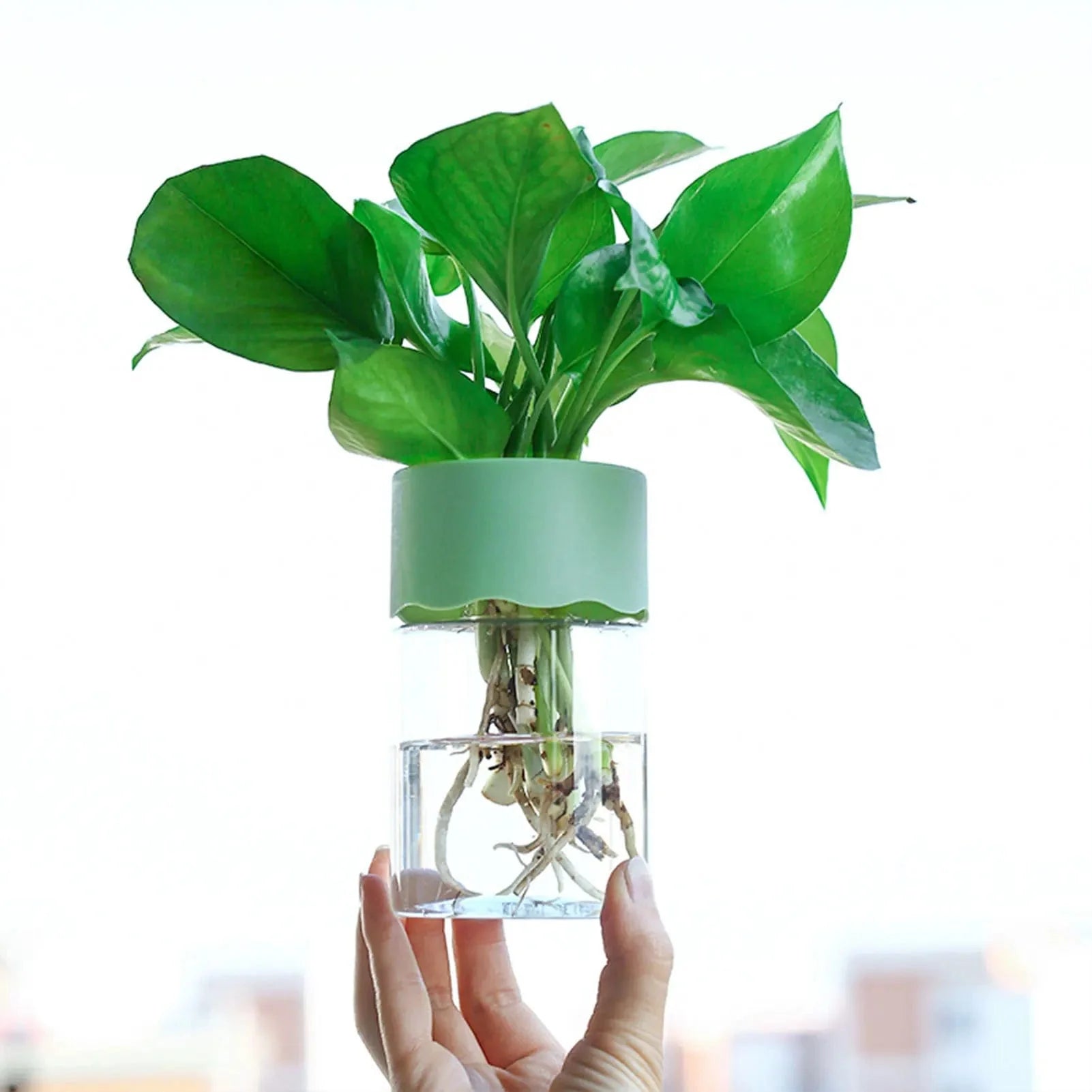 Vase en plastique hydroponique Minimalistes