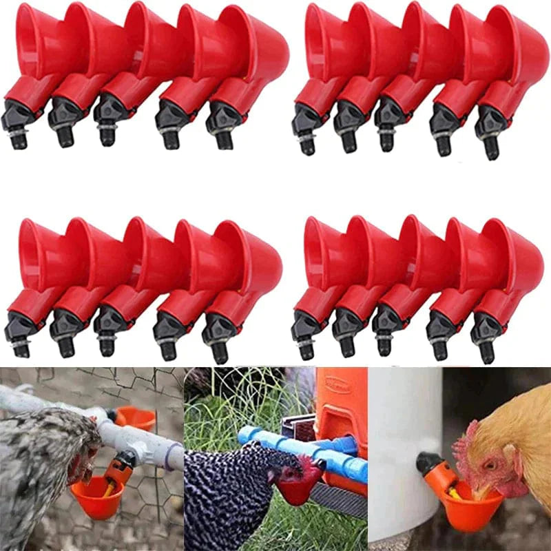 CotCotHydro - Abreuvoir Automatique Premium pour Volailles