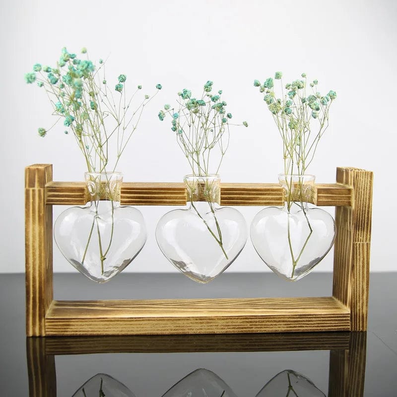 Vase Hydroponique en Verre en Forme de Cœur