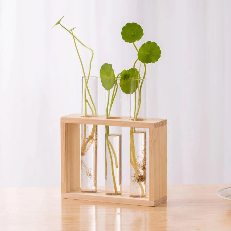 Vase à Tube Hydroponiques Esthétique