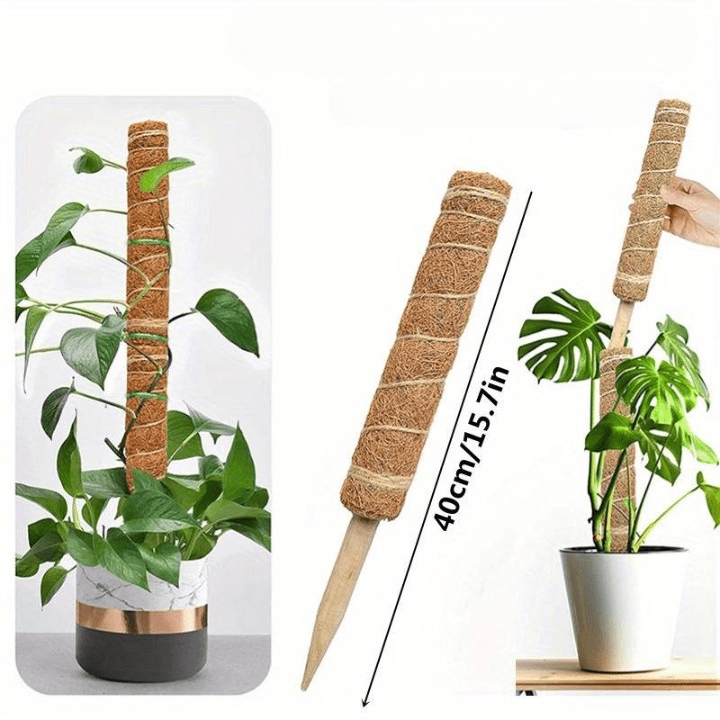 Tuteur pour Plante Grimpante Robuste (+50m de Ficelle Offert)