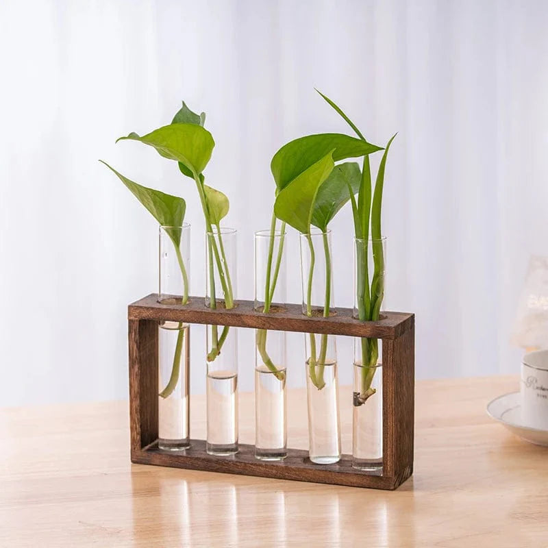 Vase à Tube Hydroponiques Esthétique