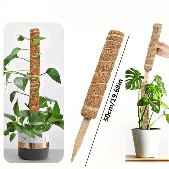 Tuteur pour Plante Grimpante Robuste (+50m de Ficelle Offert)