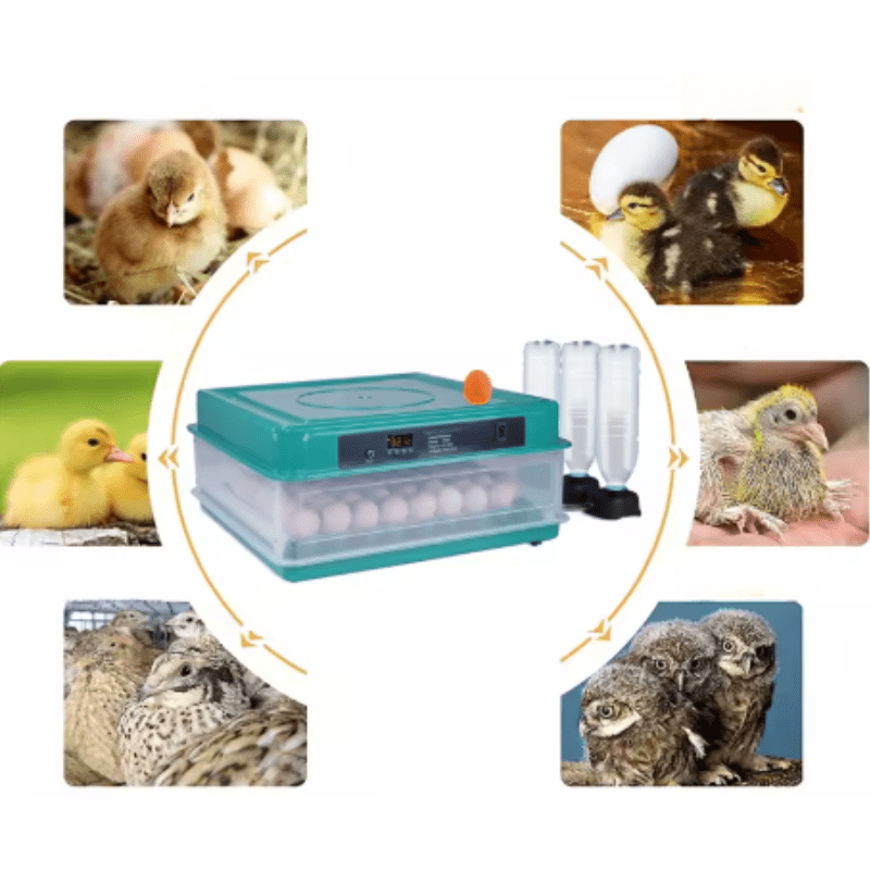 Incubateur à Œufs Automatique Professionnel Poulailler