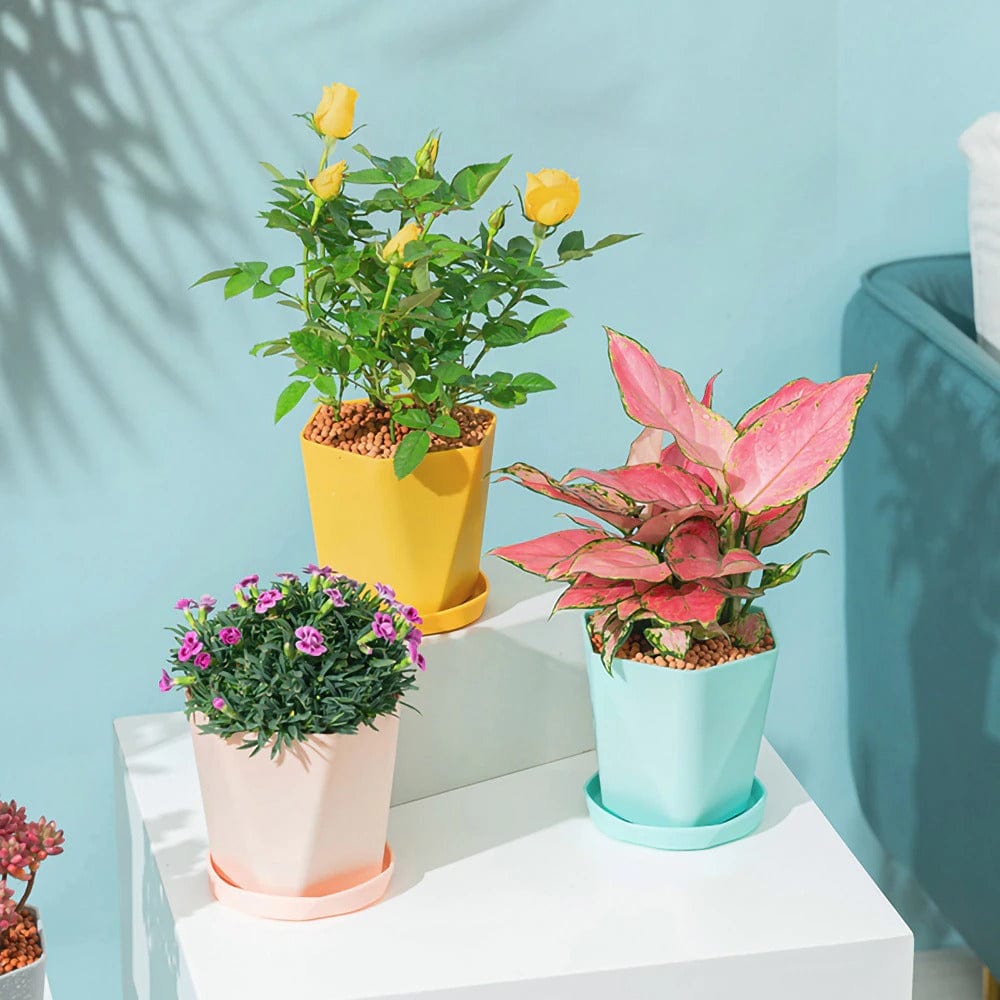 Pot de Fleur Moderne (Lot de 2)