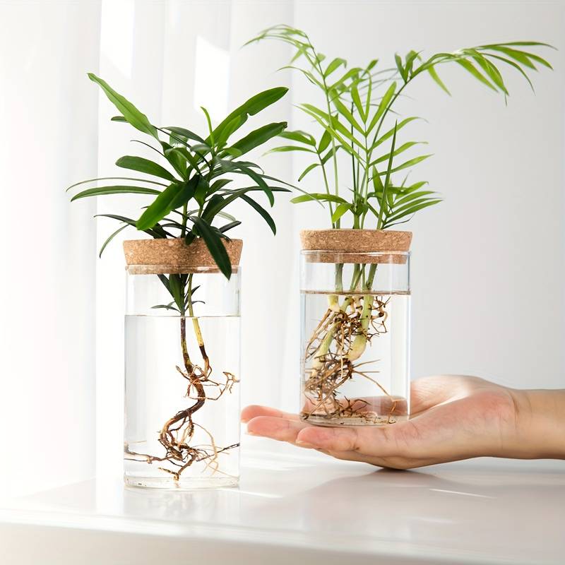 Pot de fleur hydroponique innovant