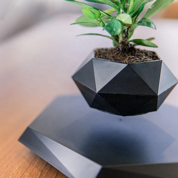 Vase Flottant Magique Original et Innovant