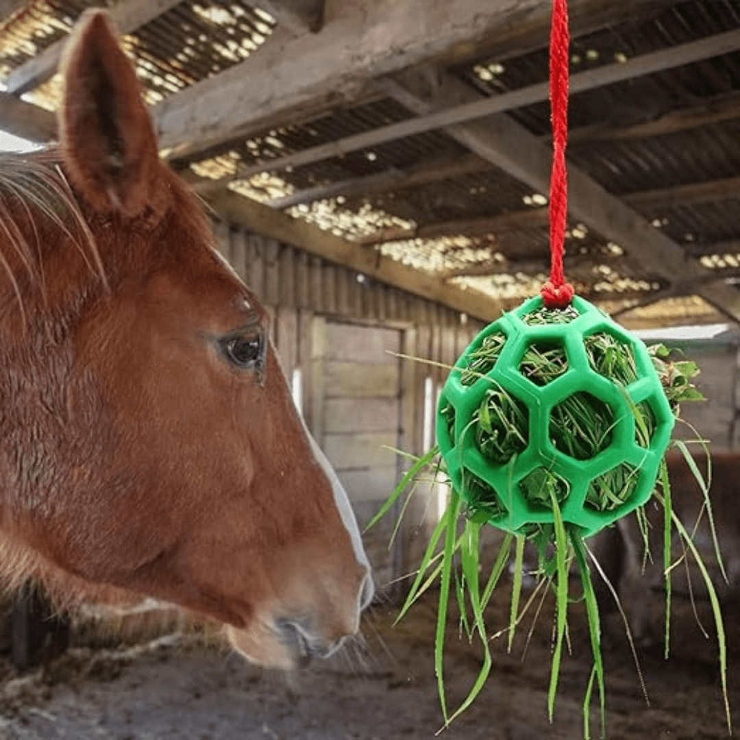 Balle Mangeoire Universelle pour Animaux
